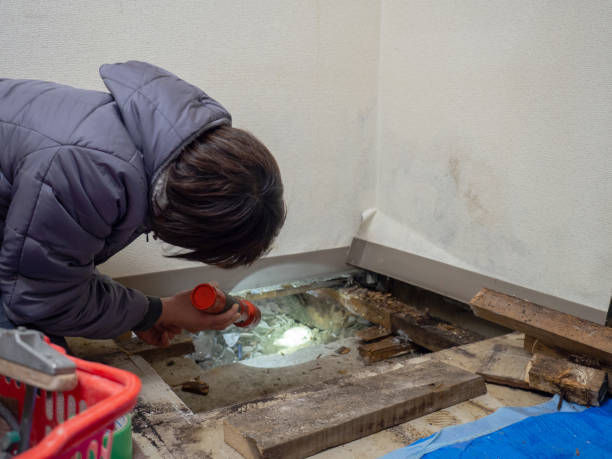 Best Mold Remediation for Vacation Homes  in Atlantic Beach, NC