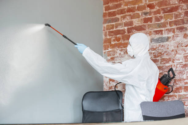 Best Air Quality Testing for Mold Spores  in Atlantic Beach, NC