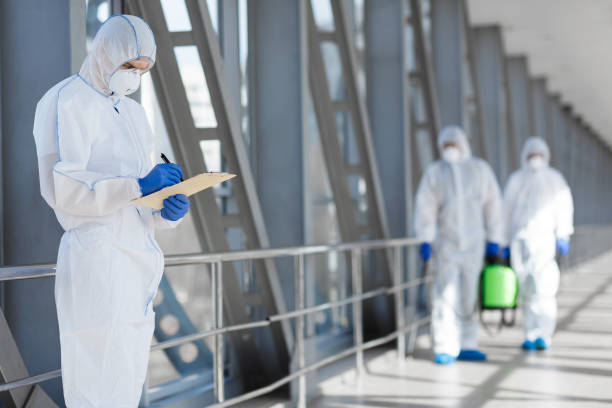 Atlantic Beach, NC Mold Removal Company