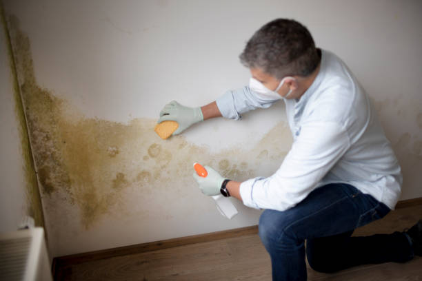 Best Mold Remediation for Healthcare Facilities  in Atlantic Beach, NC