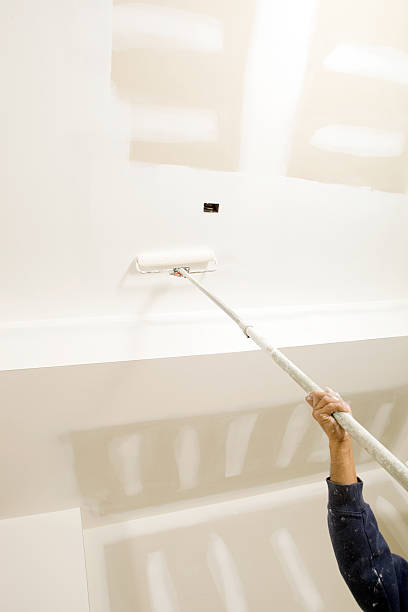 Best Post-Construction Mold Inspection  in Atlantic Beach, NC
