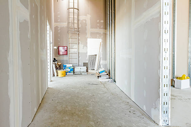 Best Comprehensive Air Testing for Mold Contaminants  in Atlantic Beach, NC